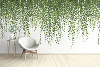 Green Hanging Ivy Leaves Wallpaper Mural - Giffywalls
