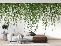 Green Hanging Ivy Leaves Wallpaper Mural - Giffywalls