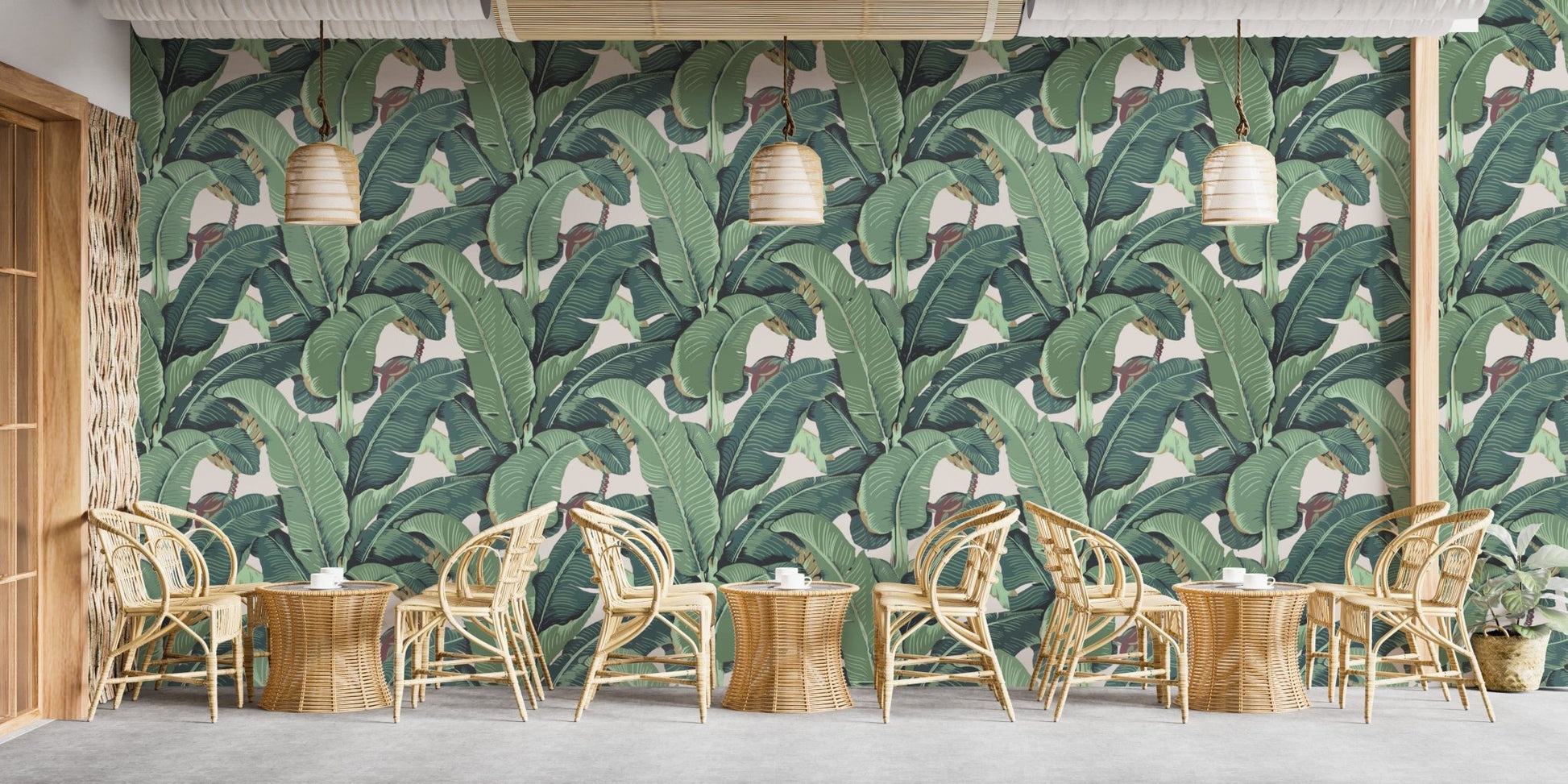 Lush green tropical banana leaf wallpaper
 B111