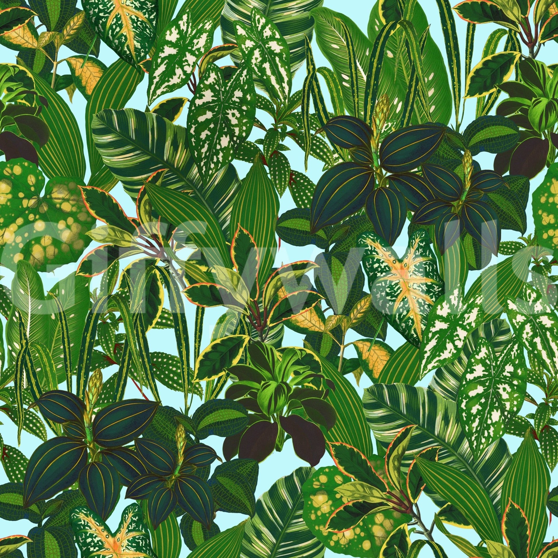 Green tropical leaves wall decor.
