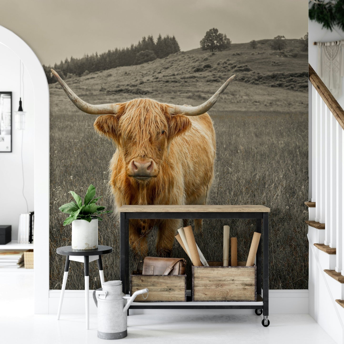 Neutral toned Highland cattle wall mural on a textured feature wall.