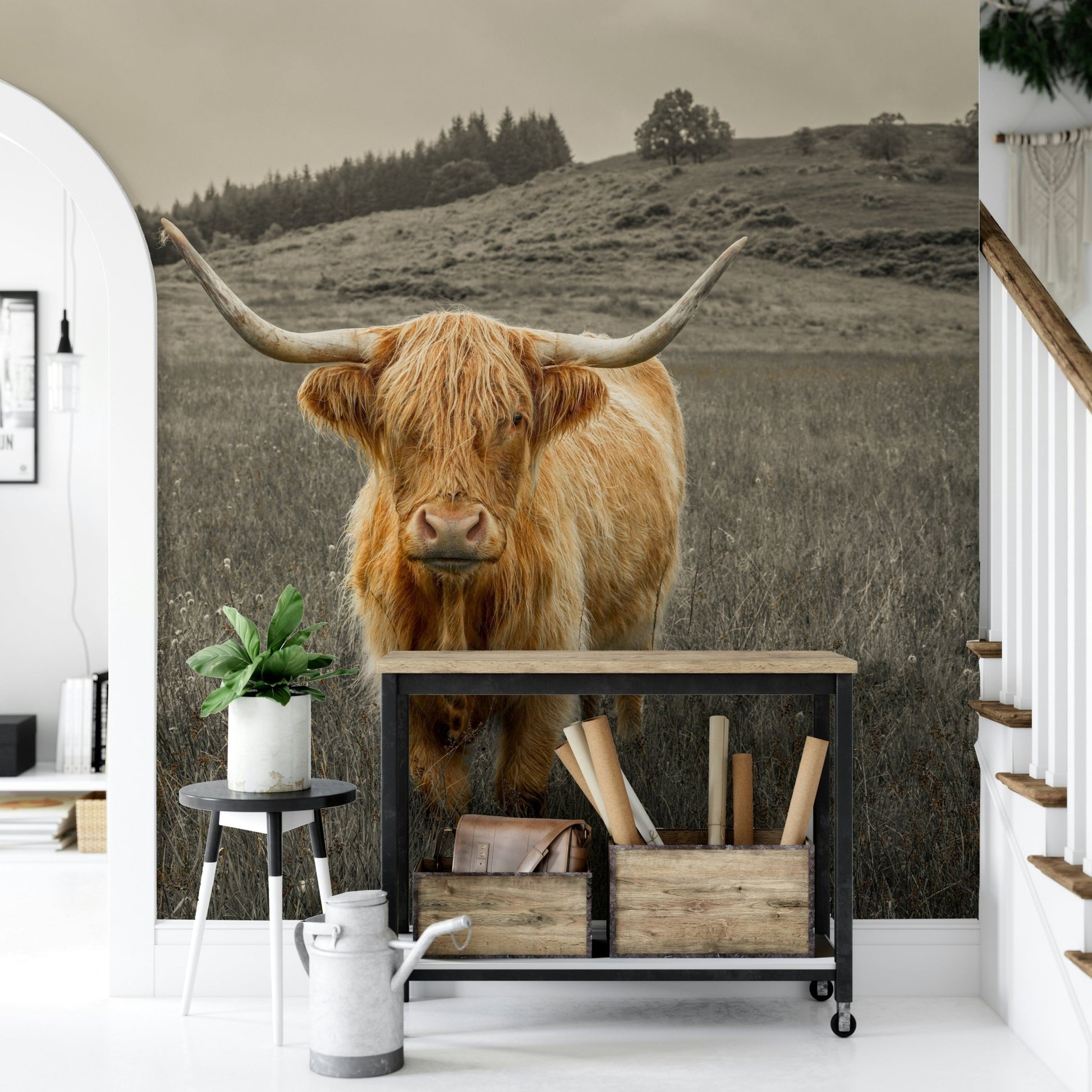 Neutral toned Highland cattle wall mural on a textured feature wall.