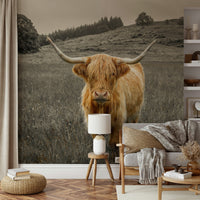 Rustic Scottish landscape wallpaper featuring long-haired cattle for a living room.