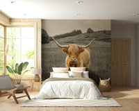 Highland cattle standing in a grassy meadow wallpaper for a dining space.