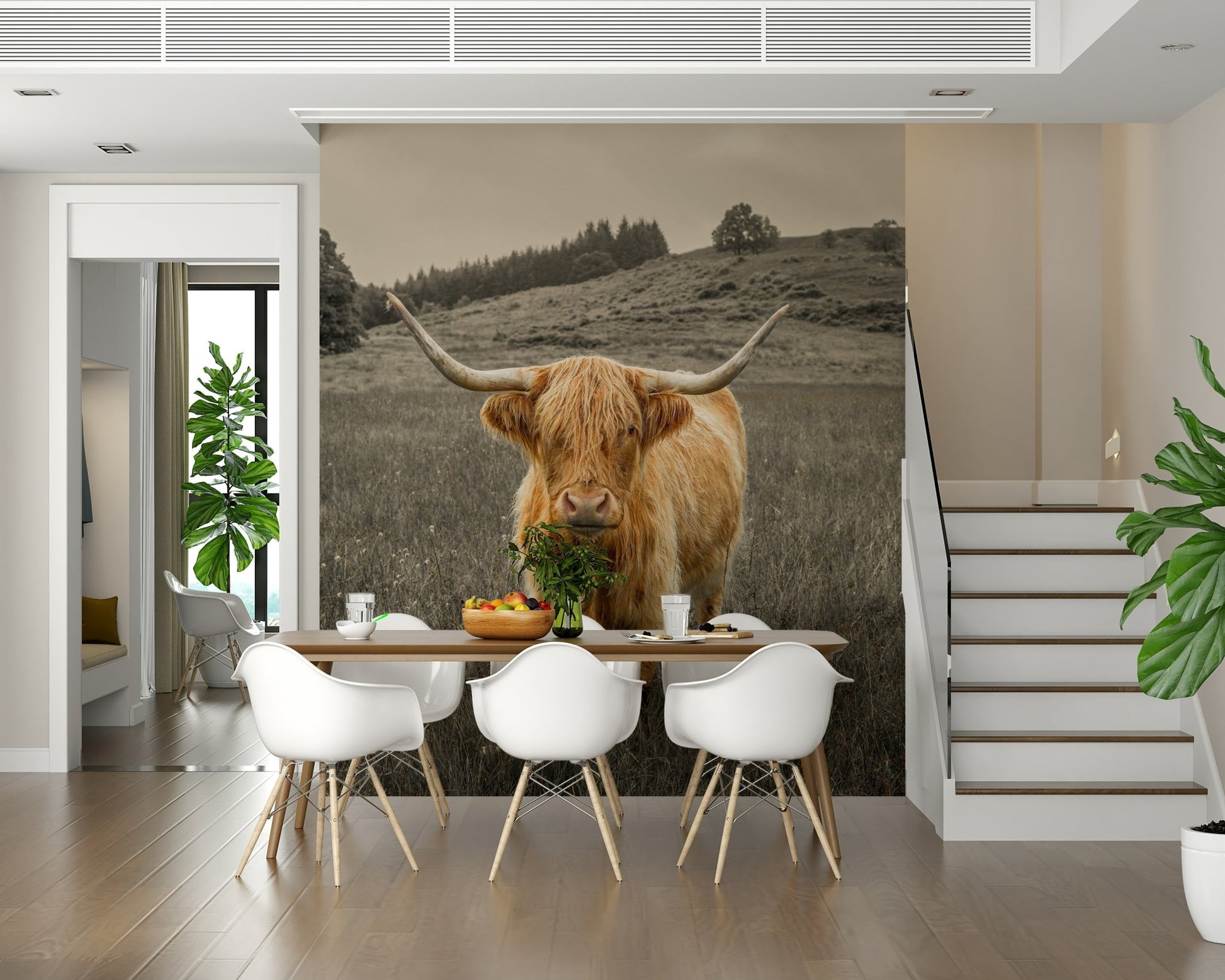 Farmhouse style interior with a large Scottish Highlands cow wallpaper.