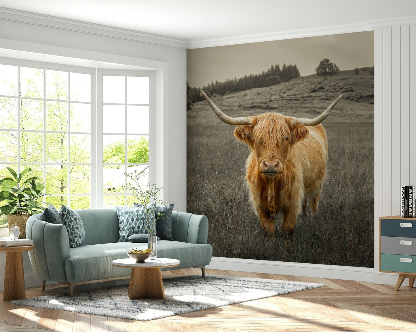 Shaggy Highland cow wall mural in a country style bedroom interior.
