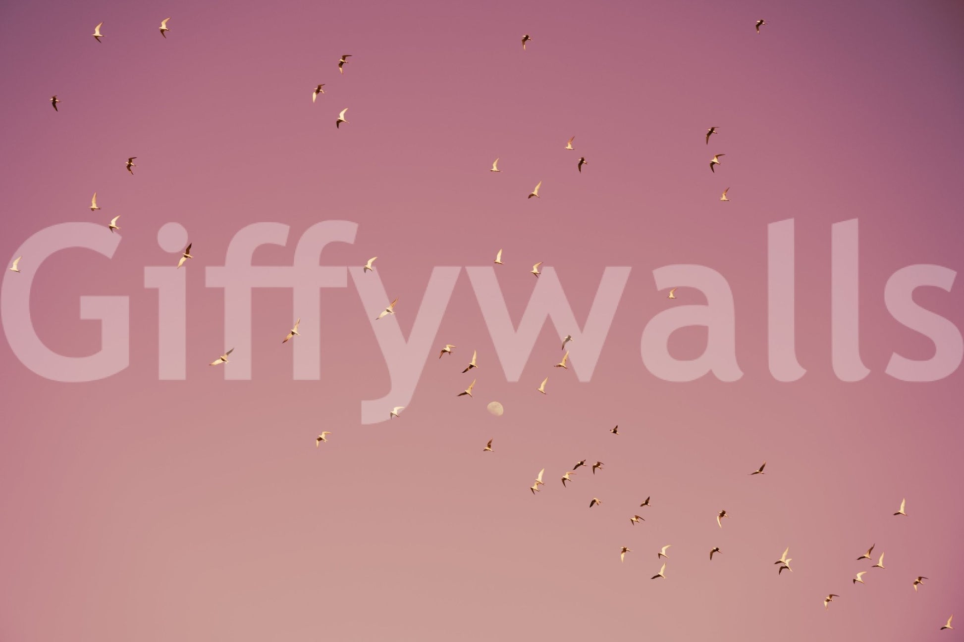 A detail of the brushstrokes and tones in the design.