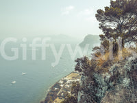 Elegant Italian coastline art.

