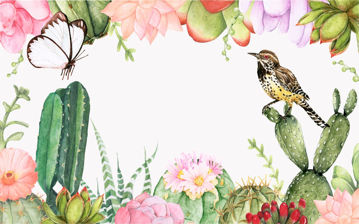 Succulents Plants wallpaper murals in your room — zoomed