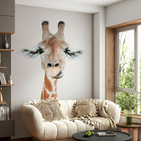 Cheerful giraffe portrait wallpaper

