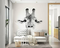 Ideal for a child's room, living room, or study.

