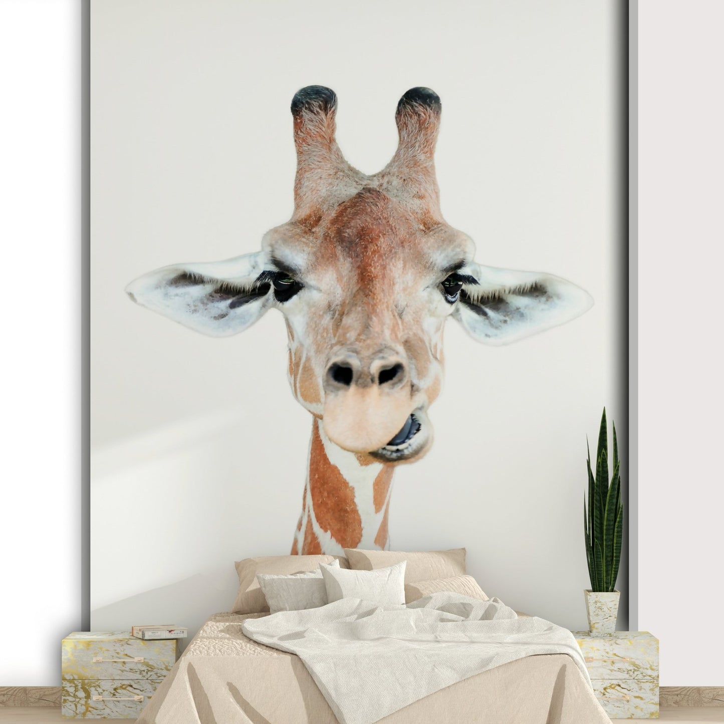 Inviting and heartwarming aesthetic.

