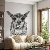 High-resolution image of a llama.


