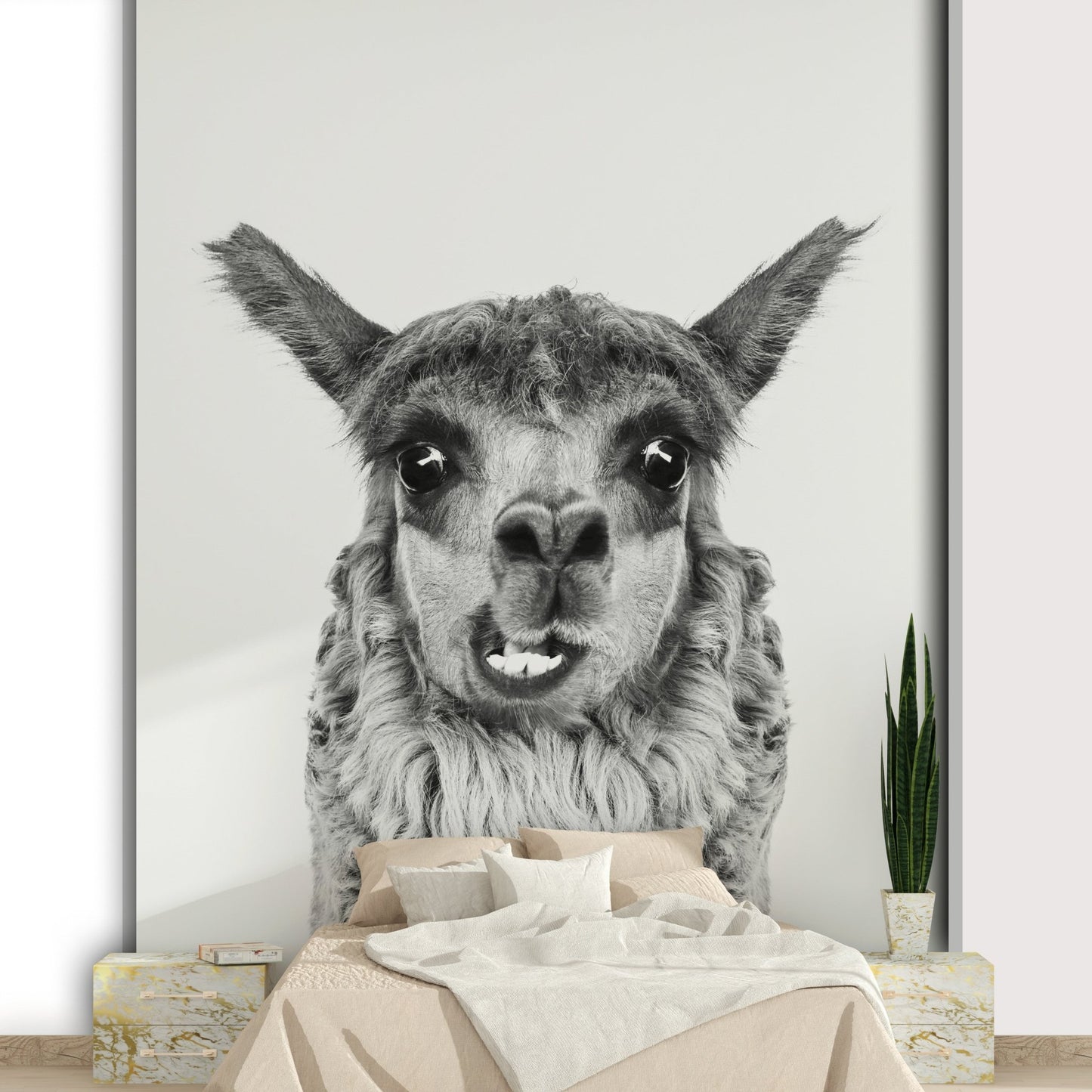 Focus on the llama's face and soft fur.

