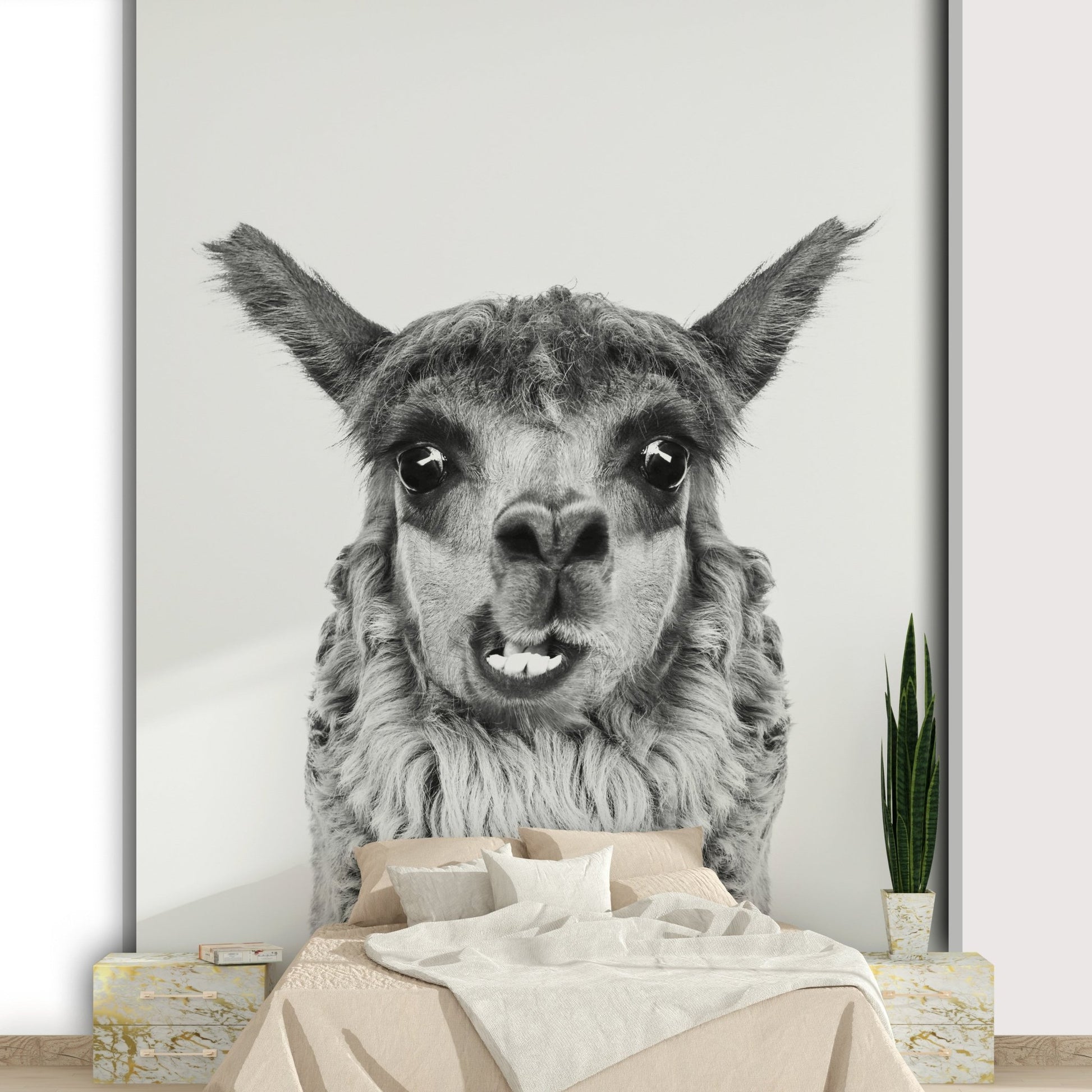 Focus on the llama's face and soft fur.

