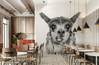 Charming animal photography or illustration.


