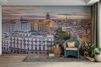 Havana’s Aerial Beauty Wall Mural