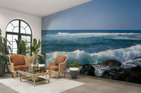 Coastal landscape mural for walls

