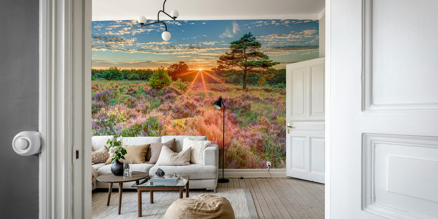 Golden sunset mural bringing calm to interiors


