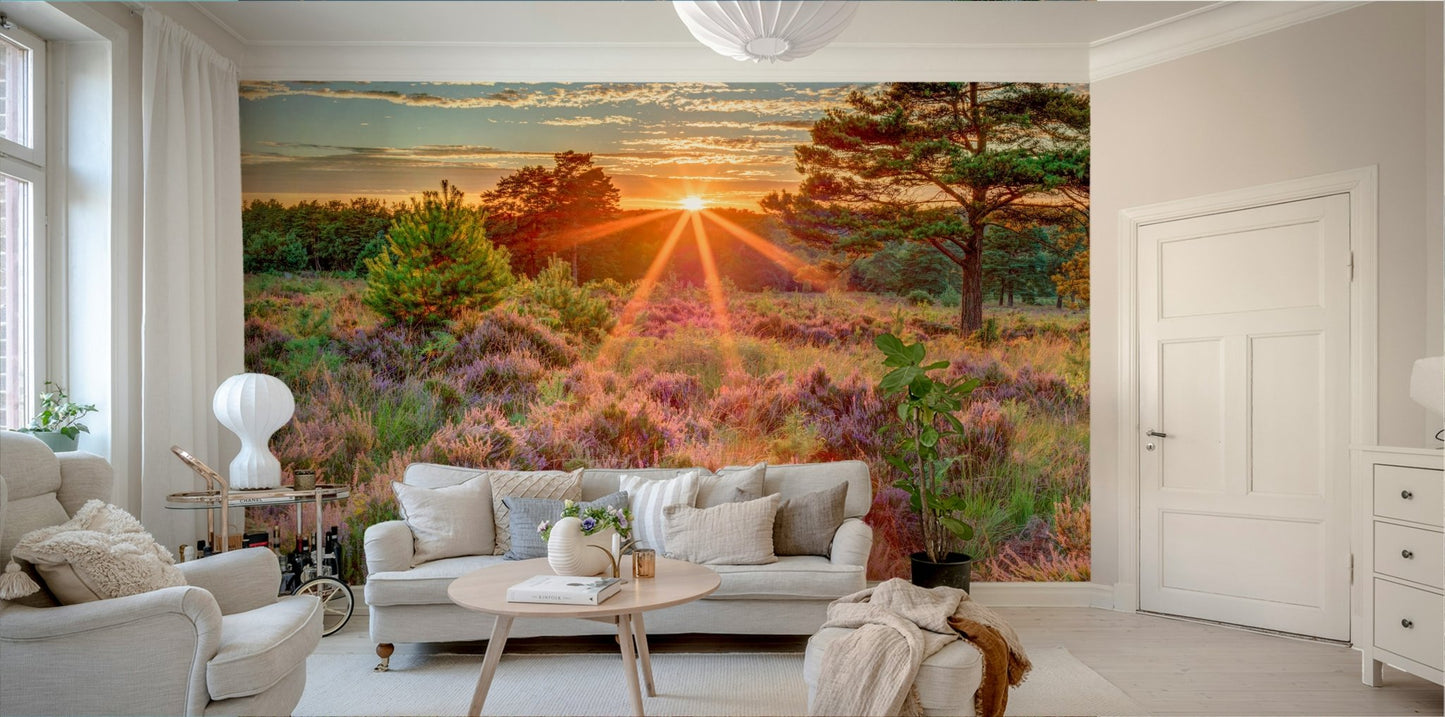 Sunset over heathland mural for a natural vibe

