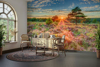 Heathland sunset mural with warm golden skies

