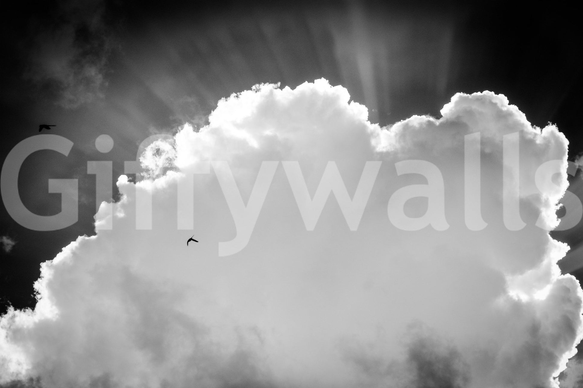 Heavenly Wall Mural