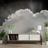 Heavenly Wall Mural