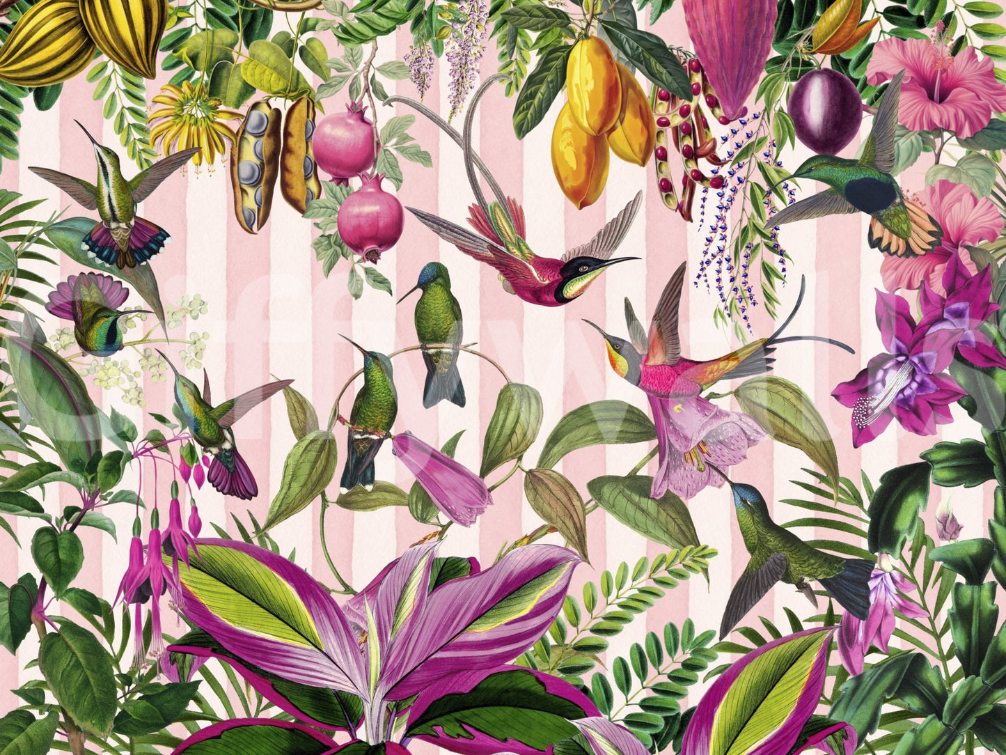 Wallpaper with a fresh and lively look