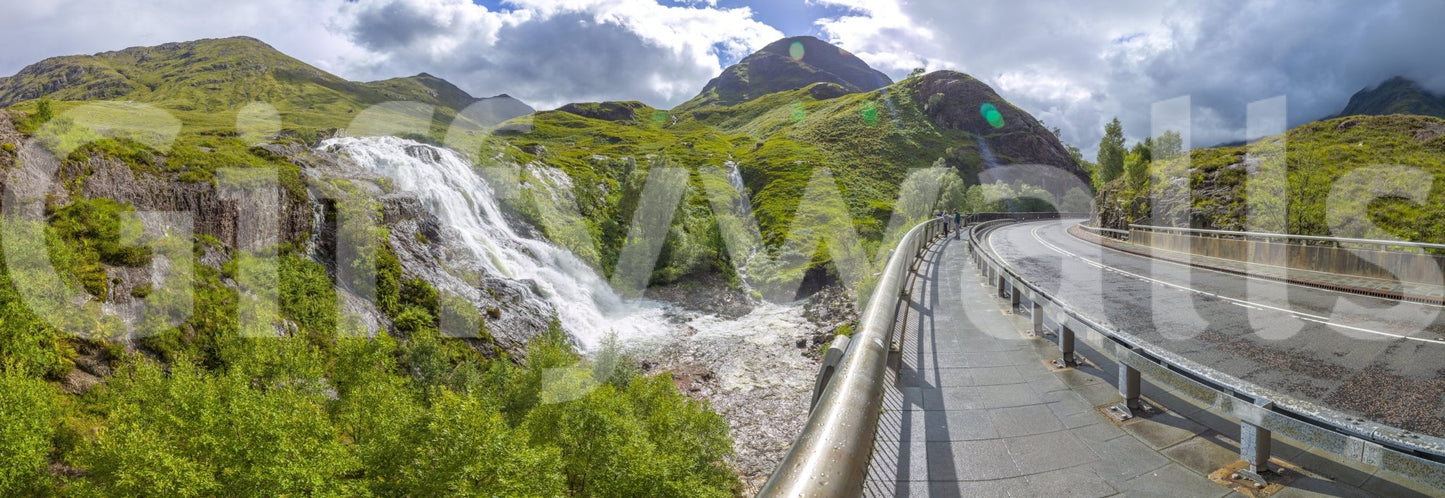 Wall decor evoking wilderness and peace.

