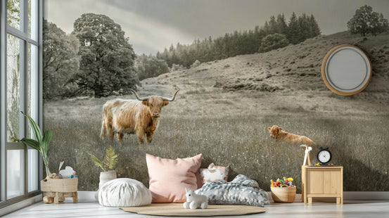Highland cow grazing mural wallpaper, GD2520