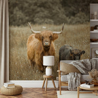 Highland cow mural perfect for rustic bedroom walls.

