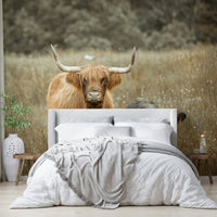 Unique Highland cow mural adding warmth to your home.

