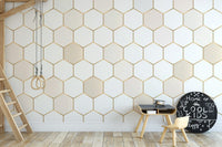 Minimalist Honeycomb Pattern Wall Mural abstract-05
