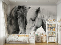 Graceful horses in a natural setting.

