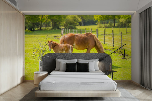 Horse with foal wall mural in nature scene


