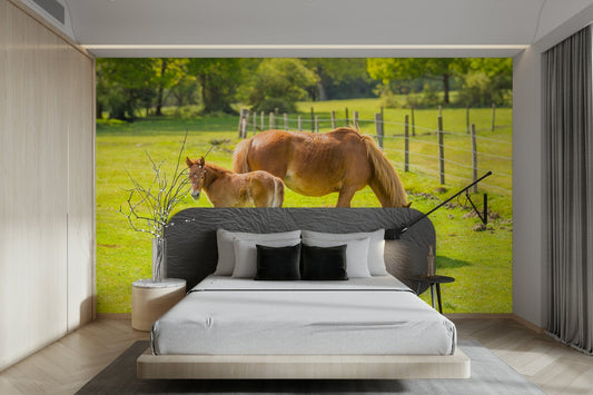 Horse with foal wall mural in nature scene

