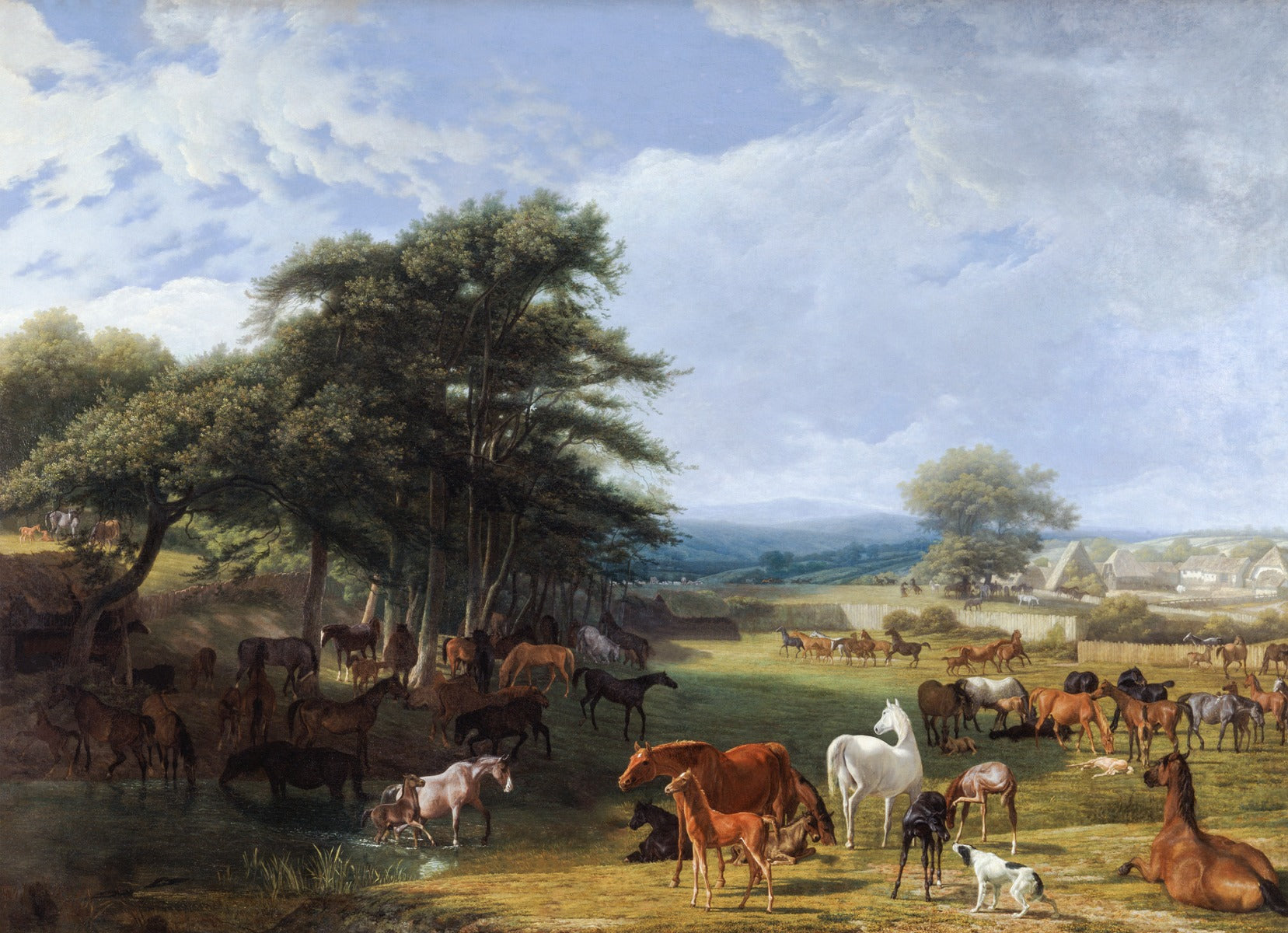 Countryside Chronicles Wall Murals