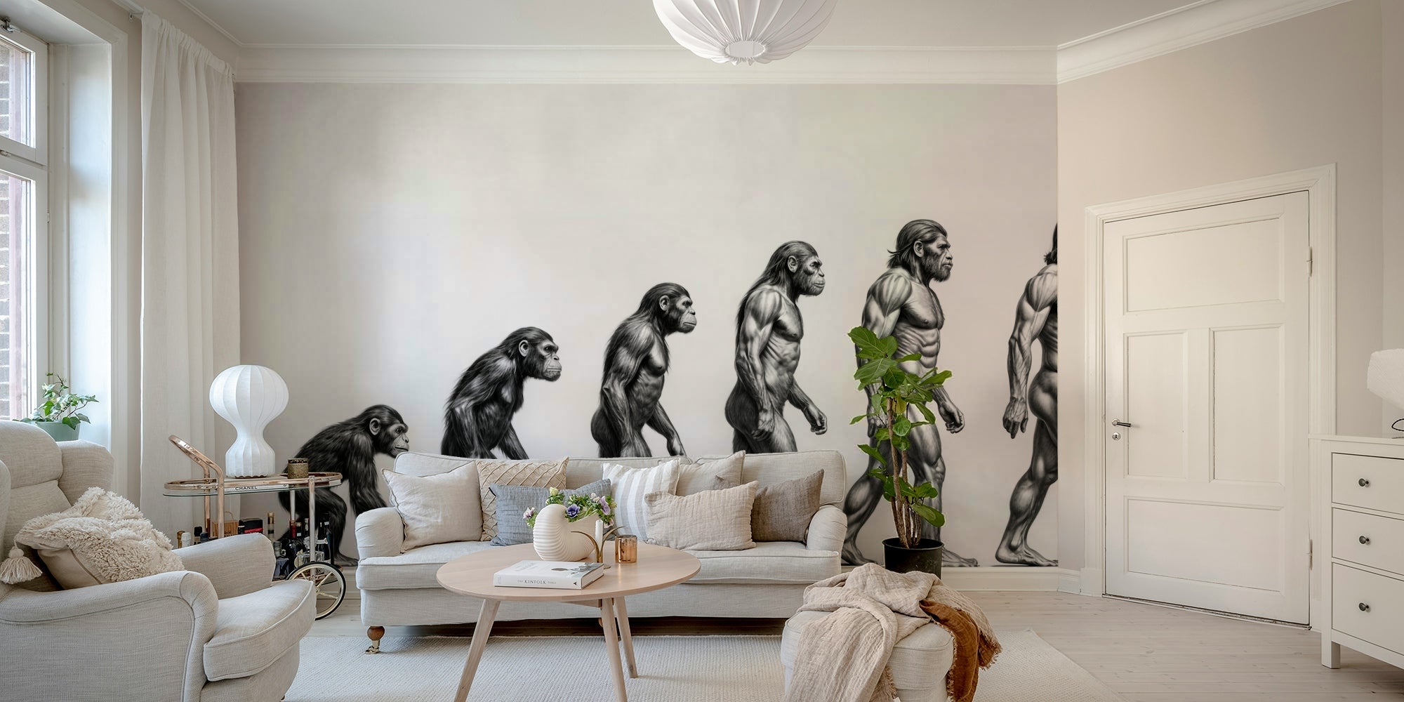 An educational wall mural illustrating human evolution. GD4203

