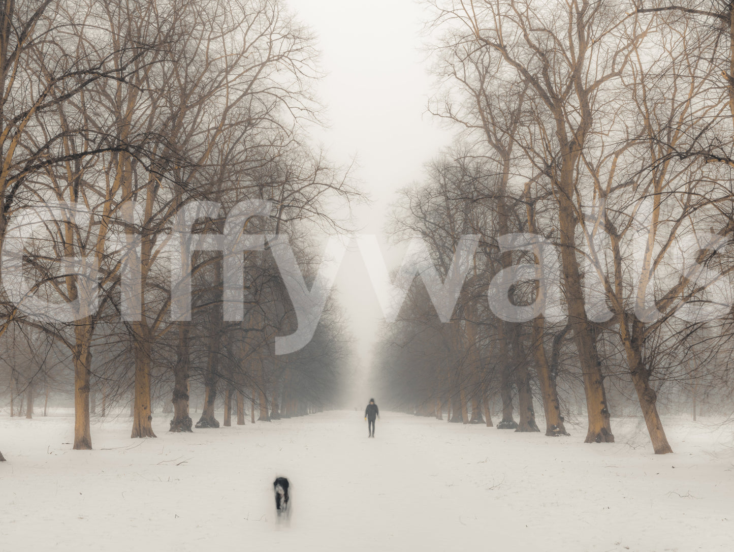 Hyde Park Wall Mural