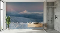 A beautiful panoramic wall mural of an icy landscape.