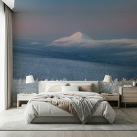 A calming serene mountain wallpaper mural that defines a space.
