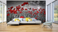 Field of poppies mural wallpaper with soft sunlight


