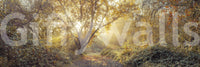 High-resolution natural elements.

