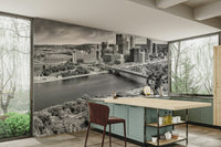 Wall wallpaper featuring Duquesne cable car


