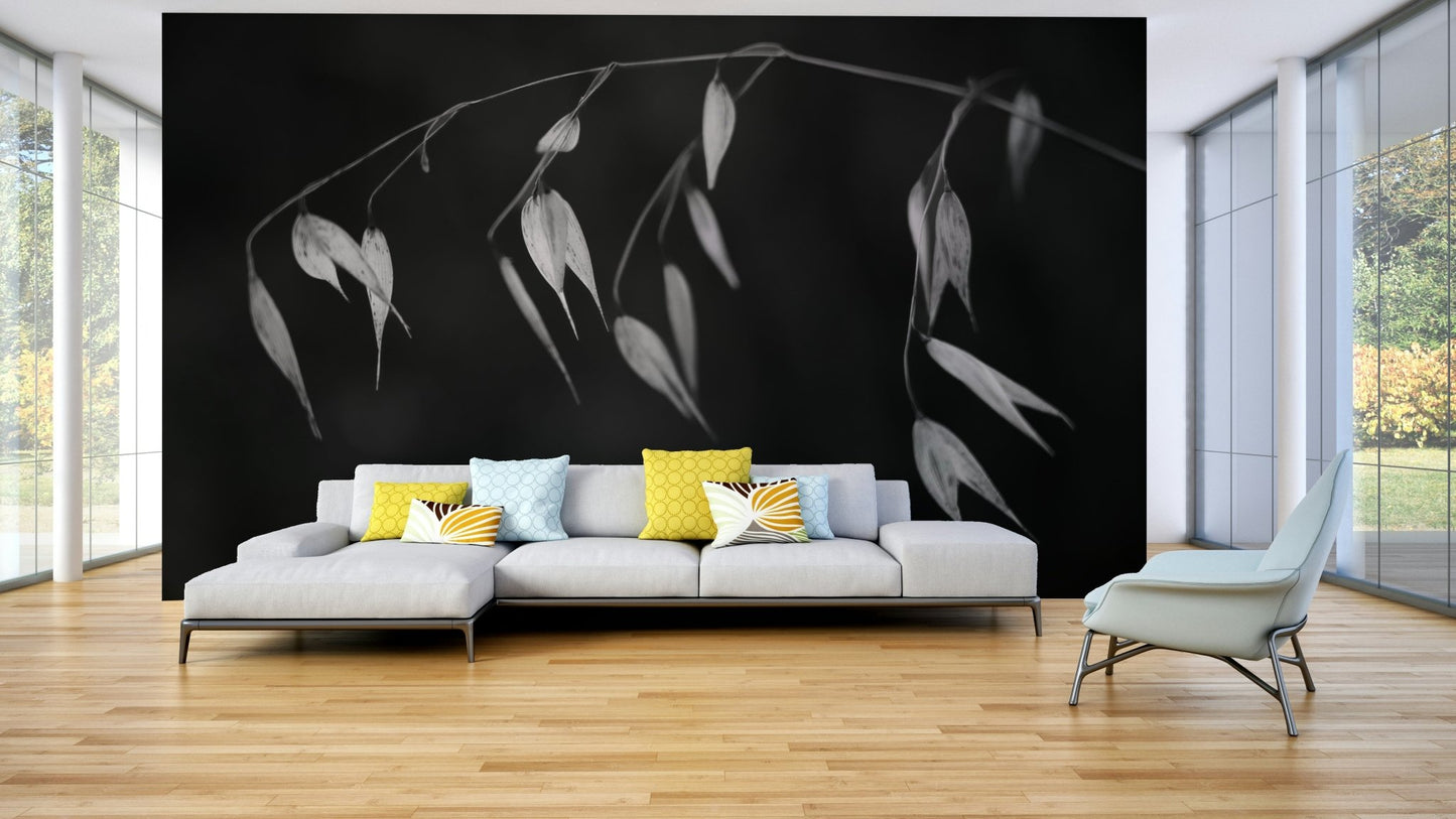 A minimalist interior with the black and white botanical wallpaper., GD4602
