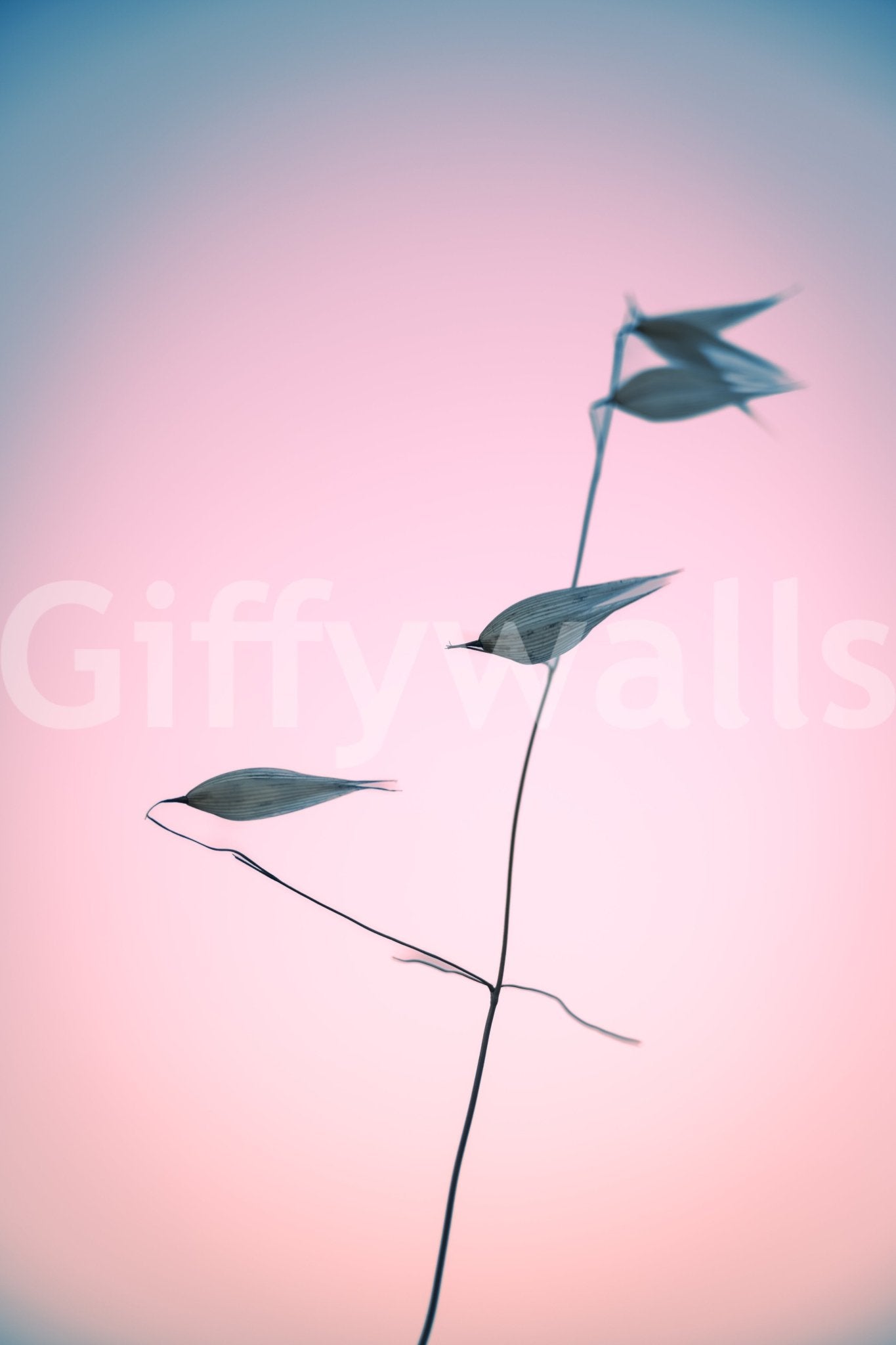 A modern artistic wall mural for home wallpaper.

