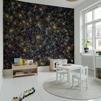 Infinite Universe Wall Mural