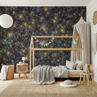 Infinite Universe Wall Mural