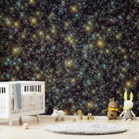 Infinite Universe Wall Mural