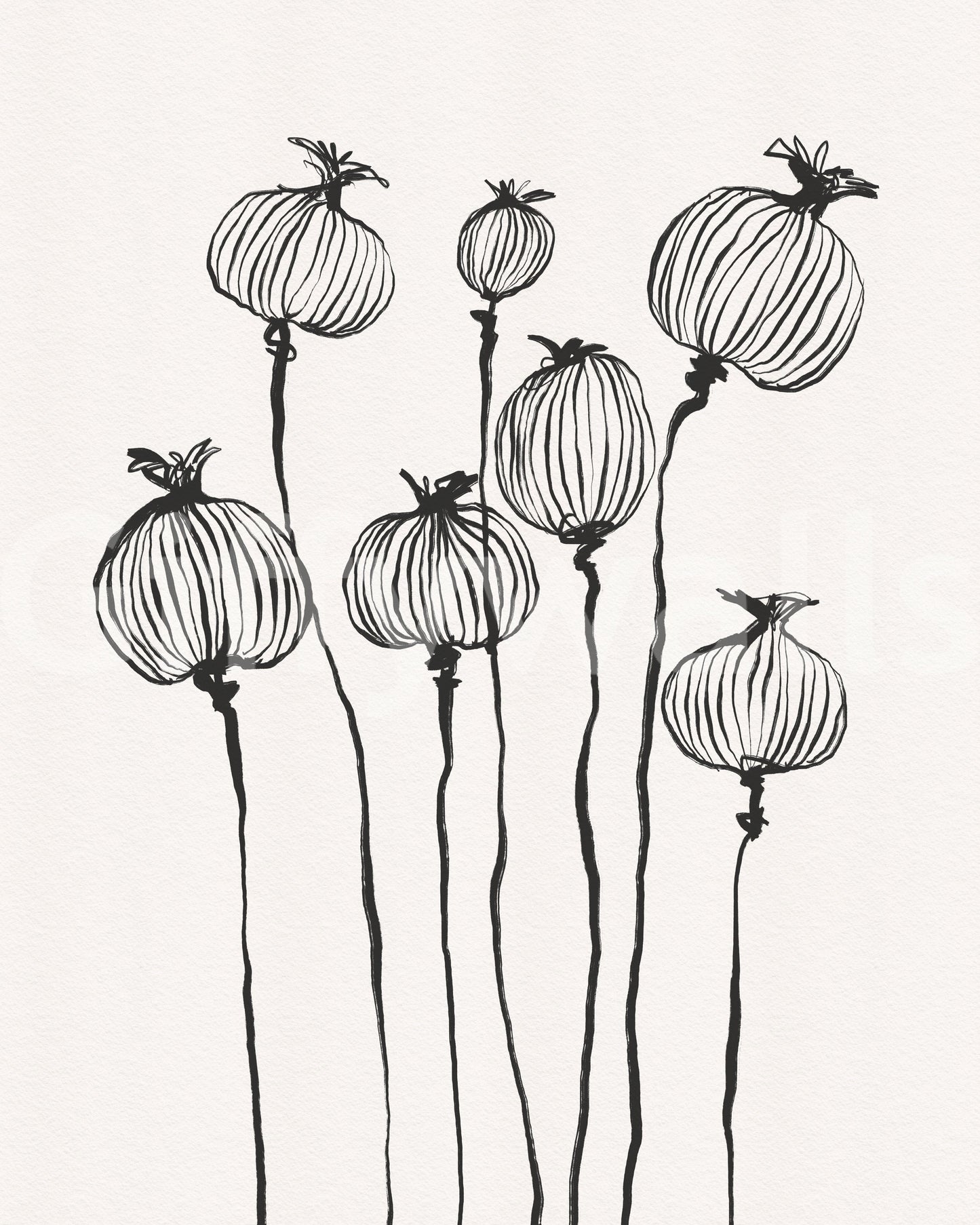 Ink Poppy Pods Wall Mural